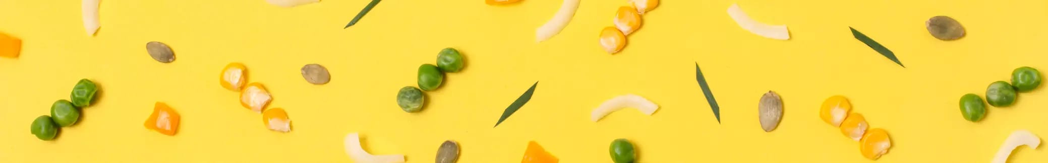 Vegetarian Appetizers placeholder